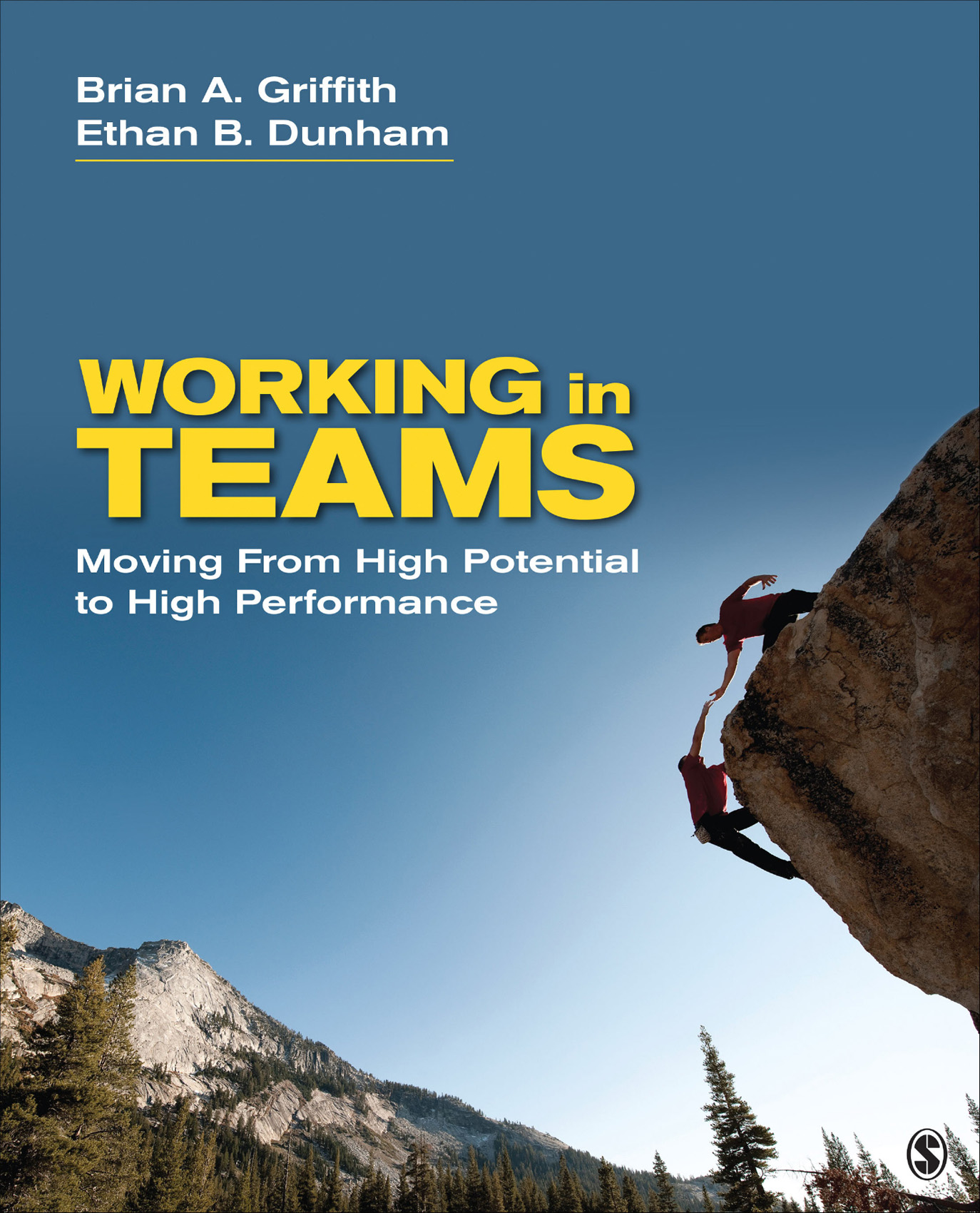 Working in Teams: Moving From High Potential to High Performance ebook