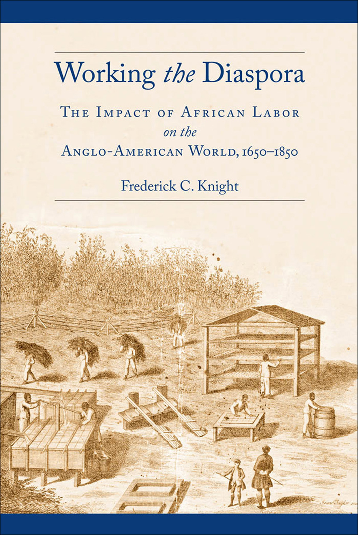 Working the Diaspora ebook