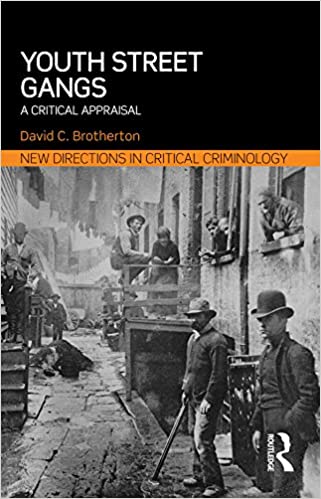 Youth Street Gangs: A critical appraisal (New Directions in Critical Criminology Book 10) ebook